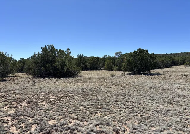 Homes for sale in Tajique, NM | Dos Lunas Dr, Tajique, NM 87016 | MLS# 1105987