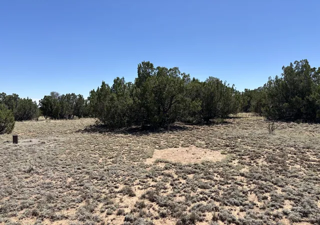 Homes for sale in Tajique, NM | Dos Lunas Dr, Tajique, NM 87016 | MLS# 1105987