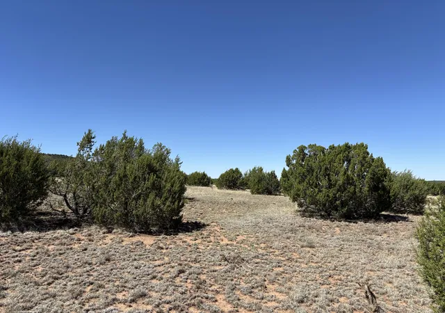 Homes for sale in Tajique, NM | Dos Lunas Dr, Tajique, NM 87016 | MLS# 1105987
