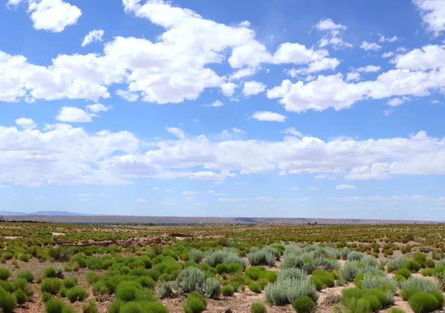 1st image of Lot 3 Rio Grande Estates, Veguita, NM 87062 | MLS# 1106047