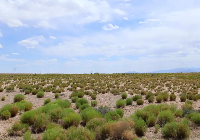 2nd image of Lot 3 Rio Grande Estates, Veguita, NM 87062 | MLS# 1106047