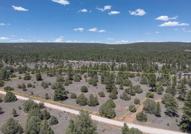 Homes for sale in Ramah, NM | Lot 21 Cottonwood Ln, Ramah, NM 87321 | MLS# 1106003