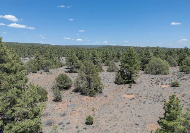 Homes for sale in Ramah, NM | Lot 21 Cottonwood Ln, Ramah, NM 87321 | MLS# 1106003