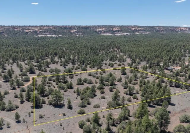 Homes for sale in Ramah, NM | Lot 21 Cottonwood Ln, Ramah, NM 87321 | MLS# 1106003
