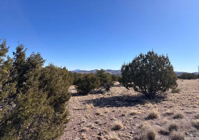 Homes for sale in Magdalena, NM | Lot 173 Campfire Rd Rd, Magdalena, NM 87825 | MLS# 1106202