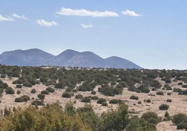 Homes for sale in Magdalena, NM | Lot 173 Campfire Rd Rd, Magdalena, NM 87825 | MLS# 1106202