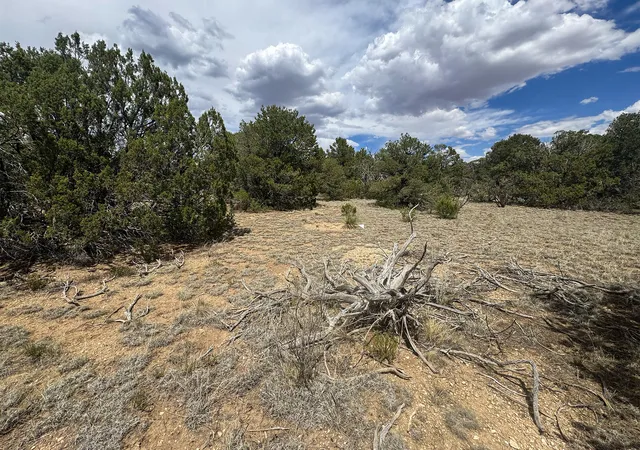 Photo 4 of Land for sale at 8 Straughan Ct, Edgewood, NM 87015 | MLS# 1106232 | Listing updated on 2026-07-22