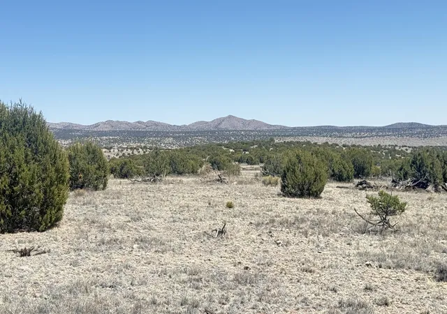 Photo 3 of Land for sale at Lot 161 Pinon Springs, Magdalena, NM 87825 | MLS# 1106268 | Listing updated on 2026-07-22