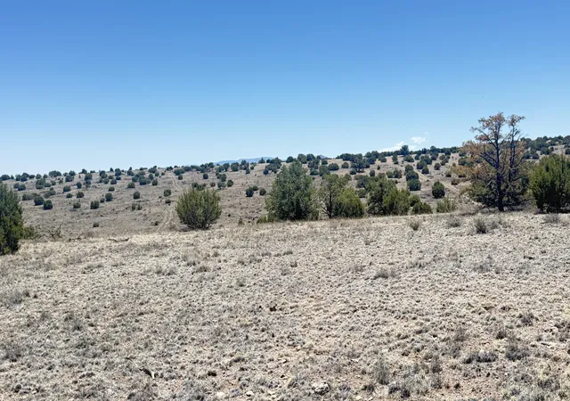 Homes for sale in Magdalena, NM | Lot 161 Pinon Springs, Magdalena, NM 87825 | MLS# 1106268