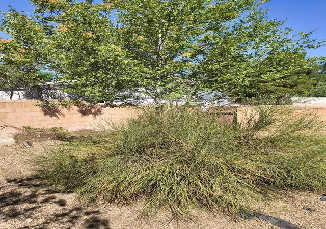 Homes for sale in Socorro, NM | 501 School Of Mines Rd, Socorro, NM 87801 | MLS# 1106323