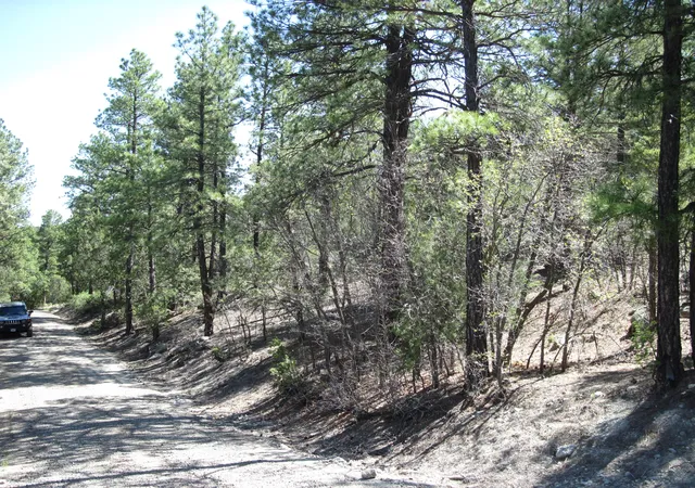 1st image of 35 Green Shadow Ln, Tijeras, NM 87059 | MLS# 1106326