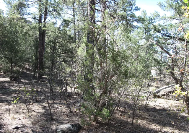3rd image of 35 Green Shadow Ln, Tijeras, NM 87059 | MLS# 1106326