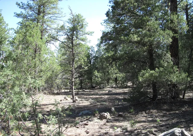 4th image of 35 Green Shadow Ln, Tijeras, NM 87059 | MLS# 1106326