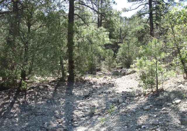 6th image of 35 Green Shadow Ln, Tijeras, NM 87059 | MLS# 1106326