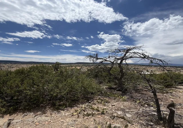 Photo 20 of Land for sale at 0 County Line Rd, Edgewood, NM 87015 | MLS# 1106329 | Listing updated on 2026-08-06
