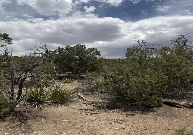 Photo 3 of Land for sale at 0 County Line Rd, Edgewood, NM 87015 | MLS# 1106329 | Listing updated on 2026-08-06