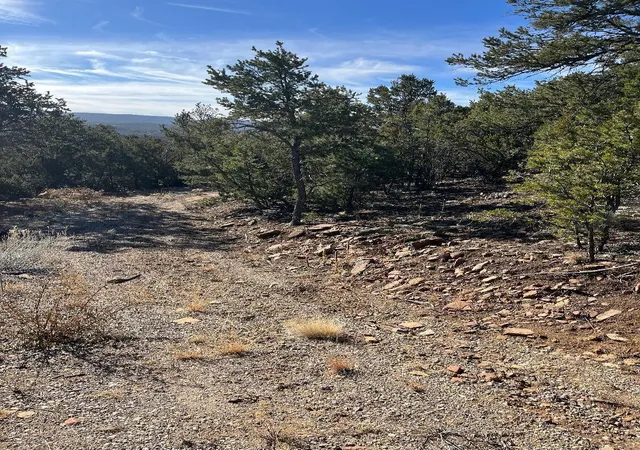 image of Tierra Vista Trl, Cedar Crest, NM 87008 | MLS# 1106434
