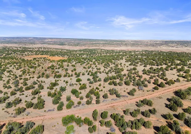 Photo 2 of Land for sale at 1779 Lost Saddle Loop, Santa Rosa, NM 88435 | MLS# 1106453 | Listing updated on 2026-07-27