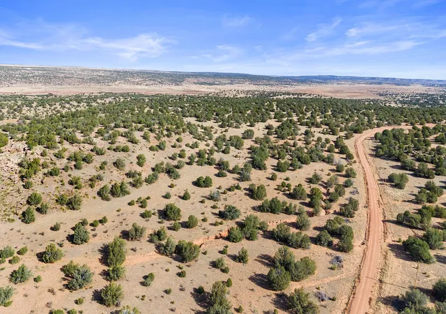 Photo 3 of Land for sale at 1779 Lost Saddle Loop, Santa Rosa, NM 88435 | MLS# 1106453 | Listing updated on 2026-07-27