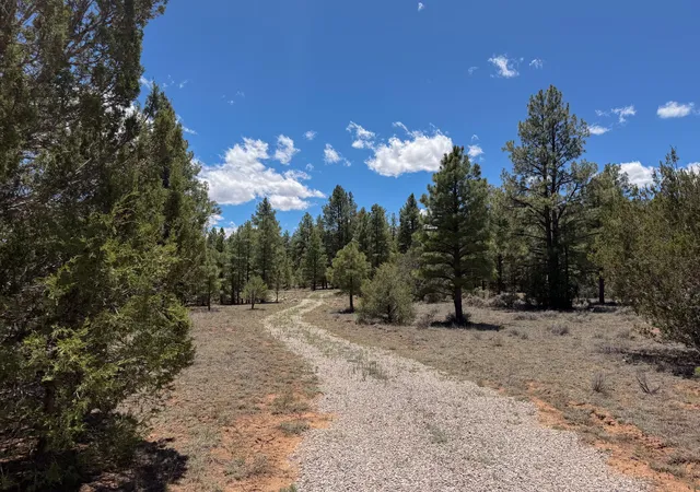 Photo 1 of Sale Pending at 90 Cottonwood Dr, Ramah, NM 87321 | MLS# 1106474 | Listing updated on 2026-08-22