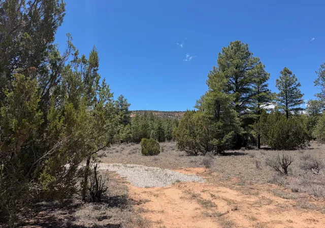 Photo 2 of Sale Pending at 90 Cottonwood Dr, Ramah, NM 87321 | MLS# 1106474 | Listing updated on 2026-08-22