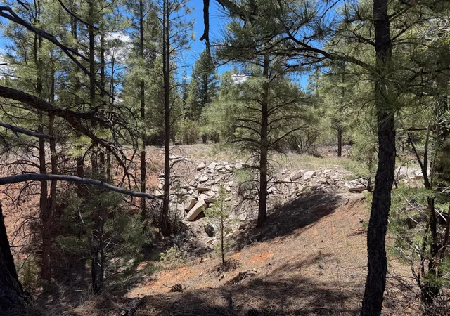Photo 3 of Sale Pending at 90 Cottonwood Dr, Ramah, NM 87321 | MLS# 1106474 | Listing updated on 2026-08-22