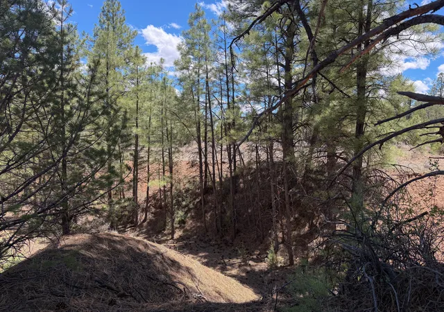 Photo 4 of Sale Pending at 90 Cottonwood Dr, Ramah, NM 87321 | MLS# 1106474 | Listing updated on 2026-08-22
