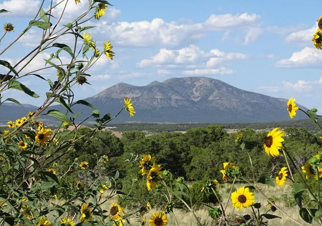 1st image of 18 Thunder Hawk, Tijeras, NM 87059 | MLS# 1106643