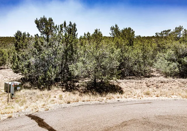 Homes for sale in Sandia Park, NM | 45 Canon Escondido Pl, Sandia Park, NM 87047 | MLS# 1106726