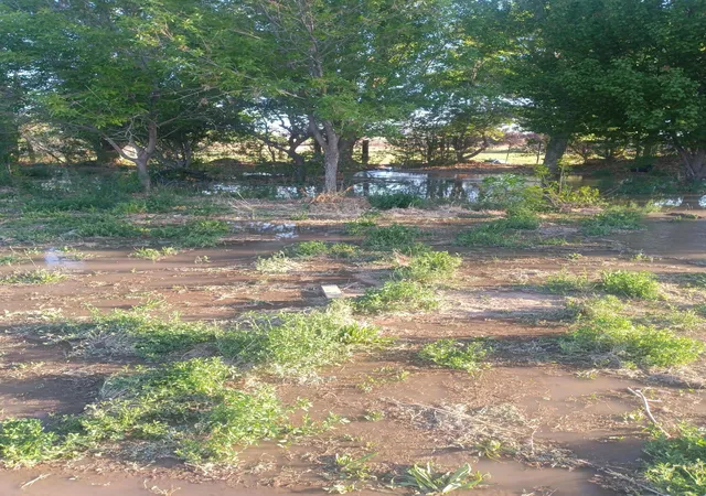 2nd image of 52 Ladera Rd, Belen, NM 87002 | MLS# 1106789