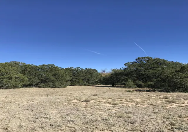 2nd image of 16 Tr A 1,2,3&4land Of Augustine Dr Ne, Tijeras, NM 87059 | MLS# 1106848