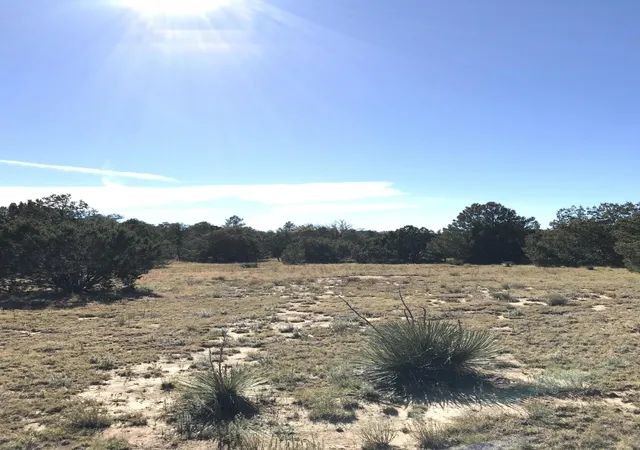 4th image of 16 Tr A-1,2,3&4Land Of Augustine Dr Ne, Tijeras, NM 87059 | MLS# 1106848