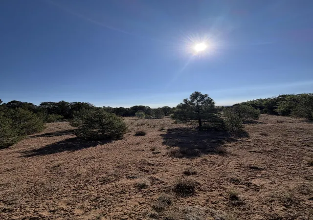 5th image of 16 Tr A-1,2,3&4Land Of Augustine Dr Ne, Tijeras, NM 87059 | MLS# 1106848