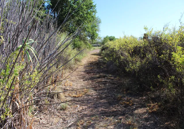 5th image of 0 Mirabel Ave, Belen, NM 87002 | MLS# 1106867