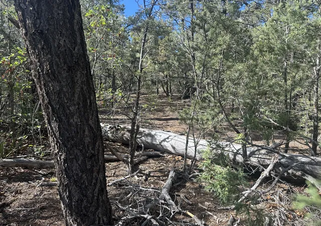 1st image of 9 Camino Sombreado, Tijeras, NM 87059 | MLS# 1106933
