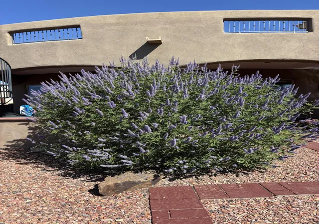 88th image of 1916 Sonora Rd Ne, Rio Rancho, NM 87144 | MLS# 1106966