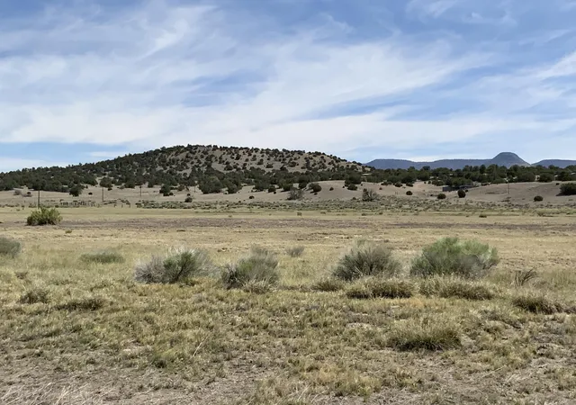 Homes for sale in Datil, NM | No Situs Address, Datil, NM 87821 | MLS# 1106999