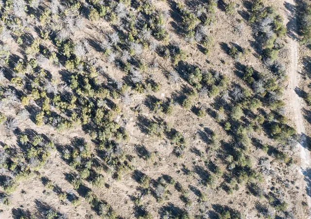 3rd image of 71 Sunset Blvd, Edgewood, NM 87015 | MLS# 1107117