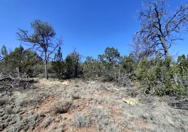 Homes for sale in Tajique, NM | Apple Mountain Rd, Tajique, NM 87016 | MLS# 1107121