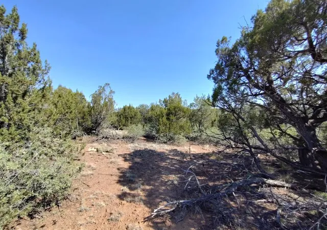 Homes for sale in Tajique, NM | Apple Mountain Rd, Tajique, NM 87016 | MLS# 1107121