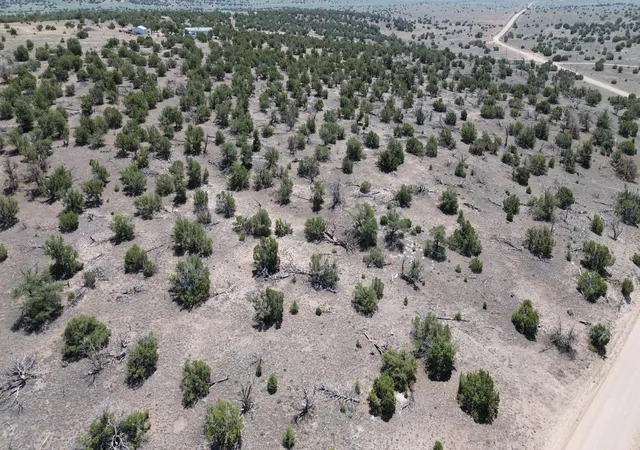 Homes for sale in Quemado, NM | Omega Rd #LOT 24, Quemado, NM 87829 | MLS# 1107162