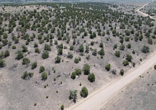 Homes for sale in Quemado, NM | Omega Rd #LOT 24, Quemado, NM 87829 | MLS# 1107162
