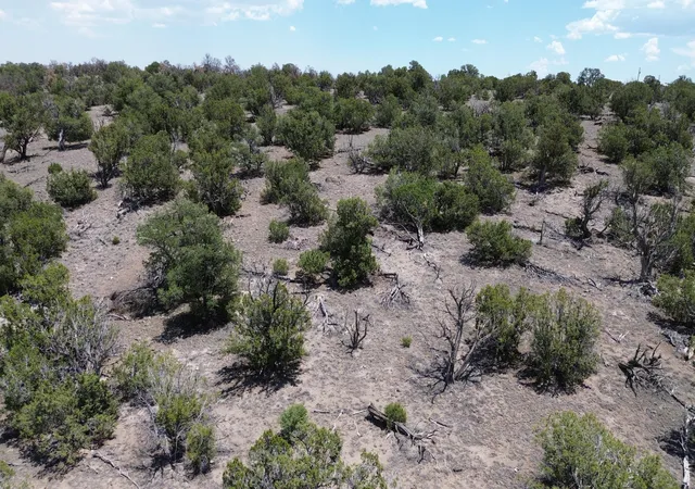Homes for sale in Quemado, NM | Omega Rd #LOT 24, Quemado, NM 87829 | MLS# 1107162