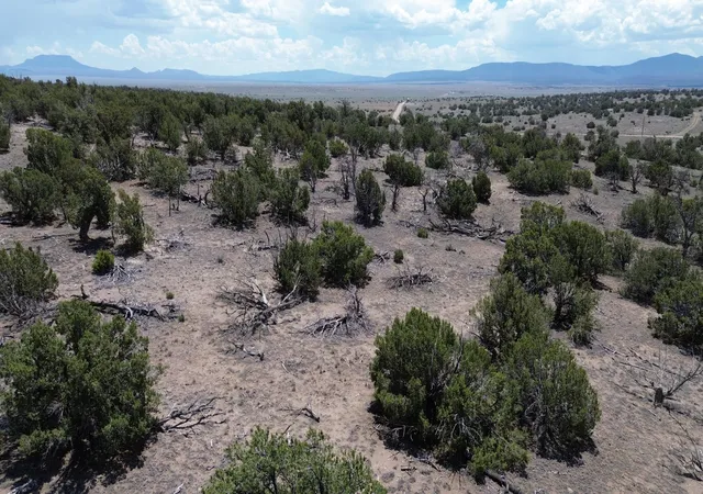 Homes for sale in Quemado, NM | Omega Rd #LOT 24, Quemado, NM 87829 | MLS# 1107162