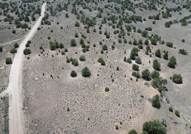 Homes for sale in Quemado, NM | Lot 8 Horseshoe Trail, Quemado, NM 87829 | MLS# 1107164