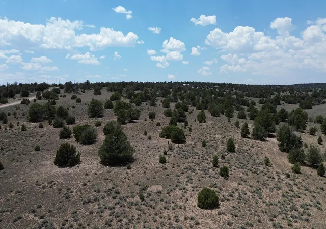 Homes for sale in Quemado, NM | Lot 8 Horseshoe Trail, Quemado, NM 87829 | MLS# 1107164