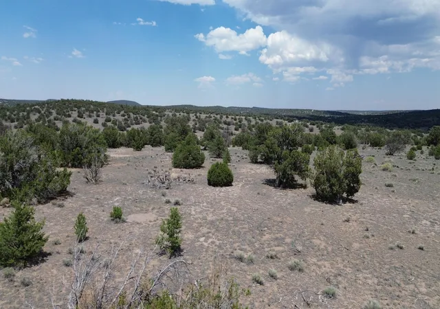 Homes for sale in Quemado, NM | Lot 8 Horseshoe Trail, Quemado, NM 87829 | MLS# 1107164