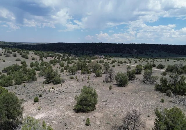 Homes for sale in Quemado, NM | Lot 8 Horseshoe Trail, Quemado, NM 87829 | MLS# 1107164