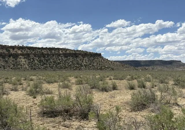 Homes for sale in Gallup, NM | County Road 1, Gallup, NM 87301 | MLS# 1107337