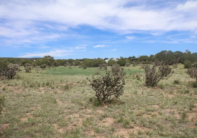 2nd image of 19 Neighborly Wy, Edgewood, NM 87015 | MLS# 1107468